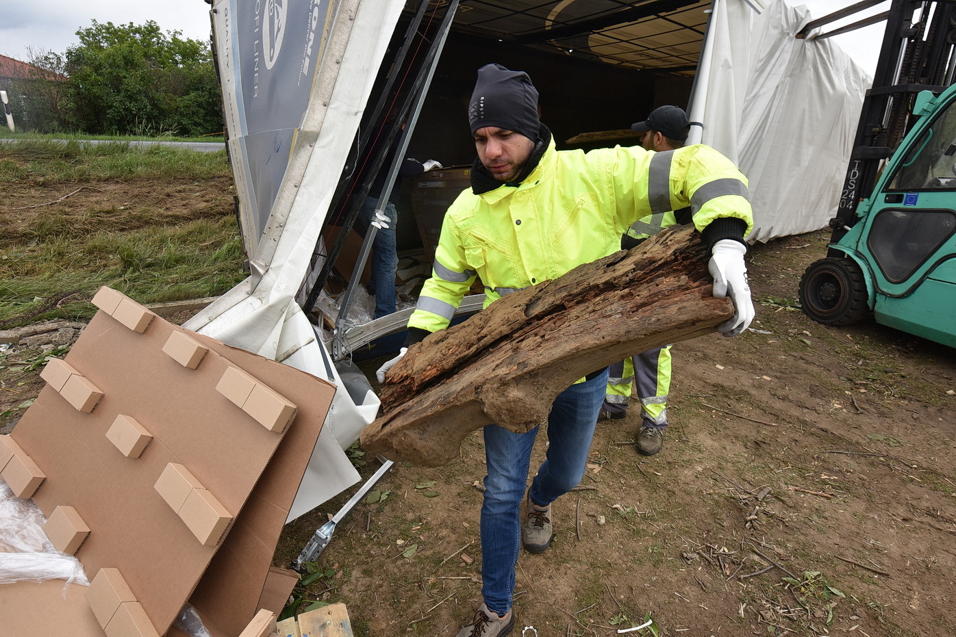 A raktérbe becsapódó korhadt fában hangyák éltek