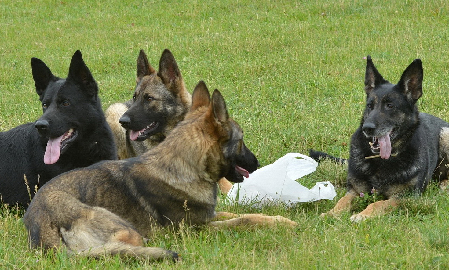 A kép illusztráció - Fotó: 112Press