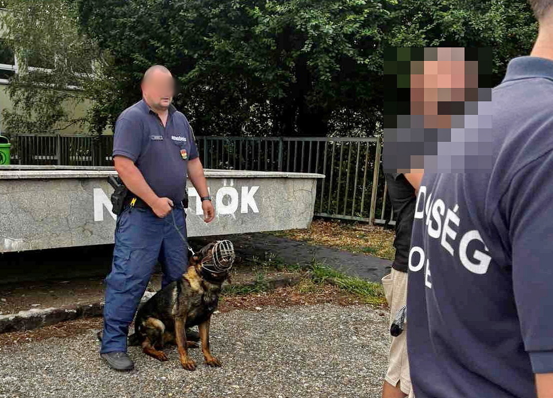 Összehangolt közrendvédelmi akció Szombathelyen Fotó: Vas VMRFK
