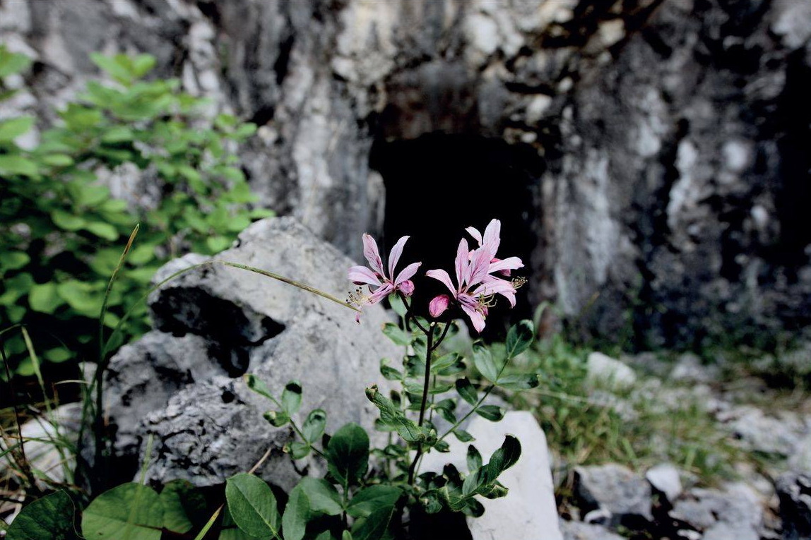 Doberdo, San Michele - Sziklákba vájt kavernákban volt a magyar katonák búvóhelye - Fotó Benkő Sándor