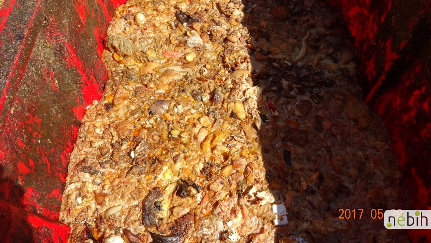 Csalás útján jutott a moslék a malacokhoz a kutyák helyett