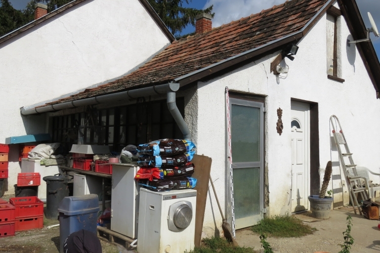 Szénásvölgypuszta 1.