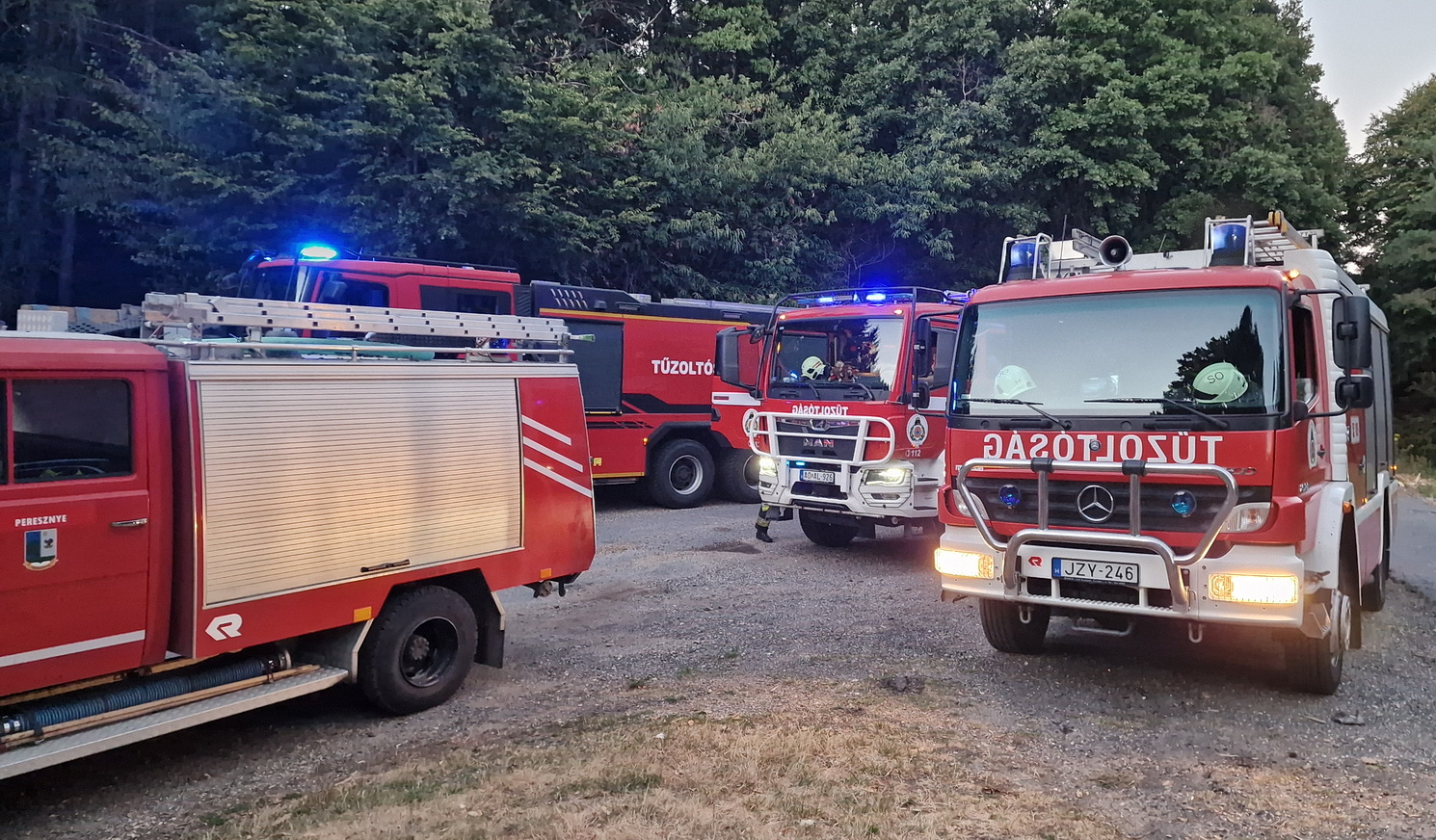 Tűzoltók a Vörös kereszt mellett, Kőszeg közelében