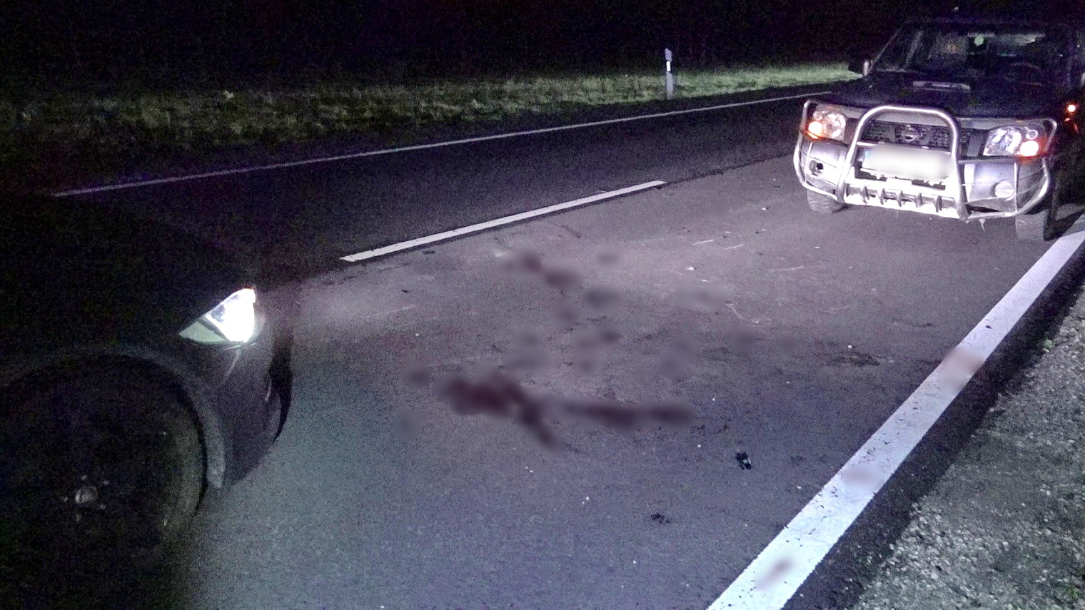 Daciának szaladó szarvas miatt megálló Jaguarnak ütközött egy Seat a 86-oson, Kisunyom közelében