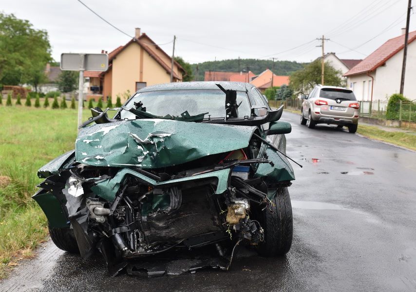 sztgotthard_frontalis