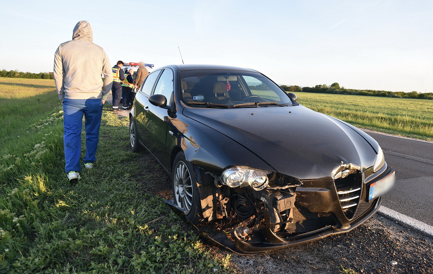 Őzbakot ütött el Alfa Romeo a 87-es főúton, Szombathely határában