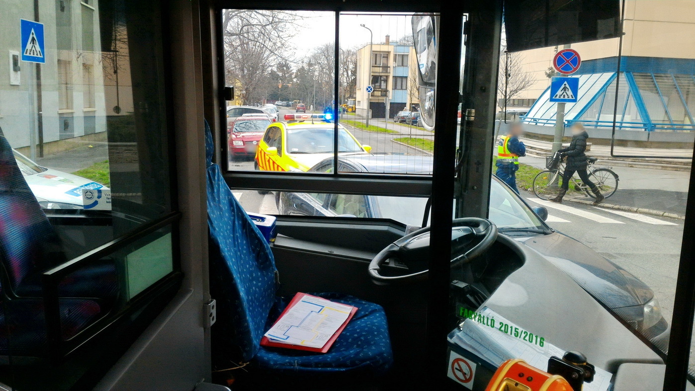 P_20160308_120402ab (2)