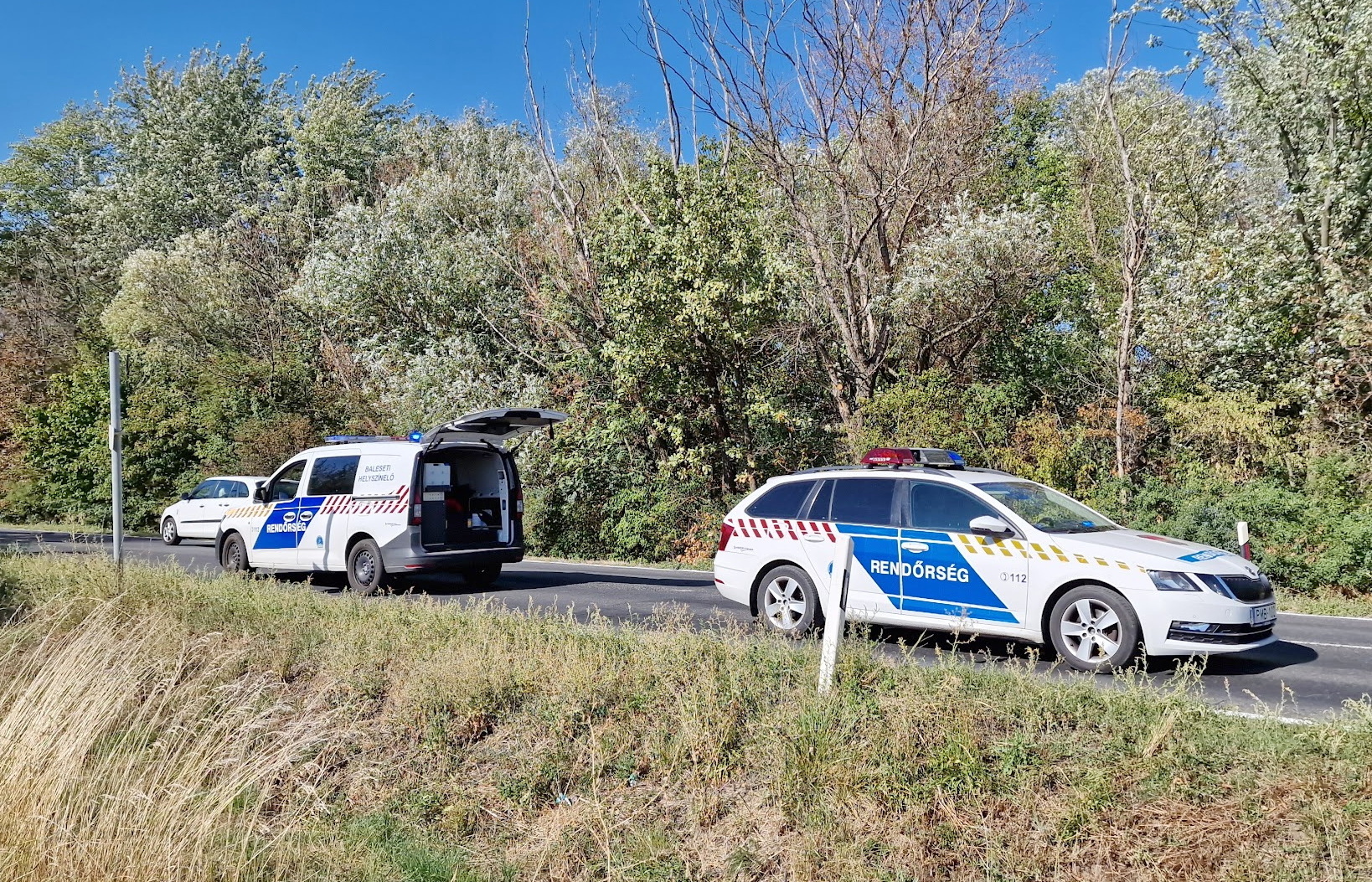 Előzésben lévő Honda elé kanyarodott egy Peugeot a 87-esen, Lukácsházánál - négyen megsérültek