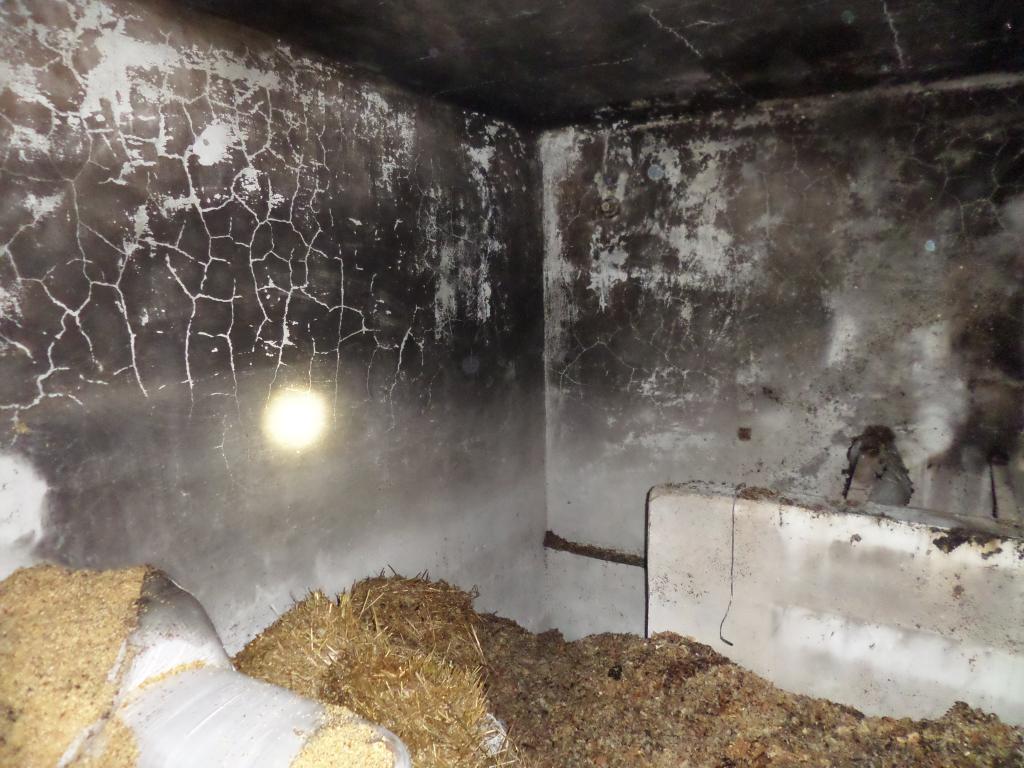 Csirketartásra használt melléképület égett Vasváron