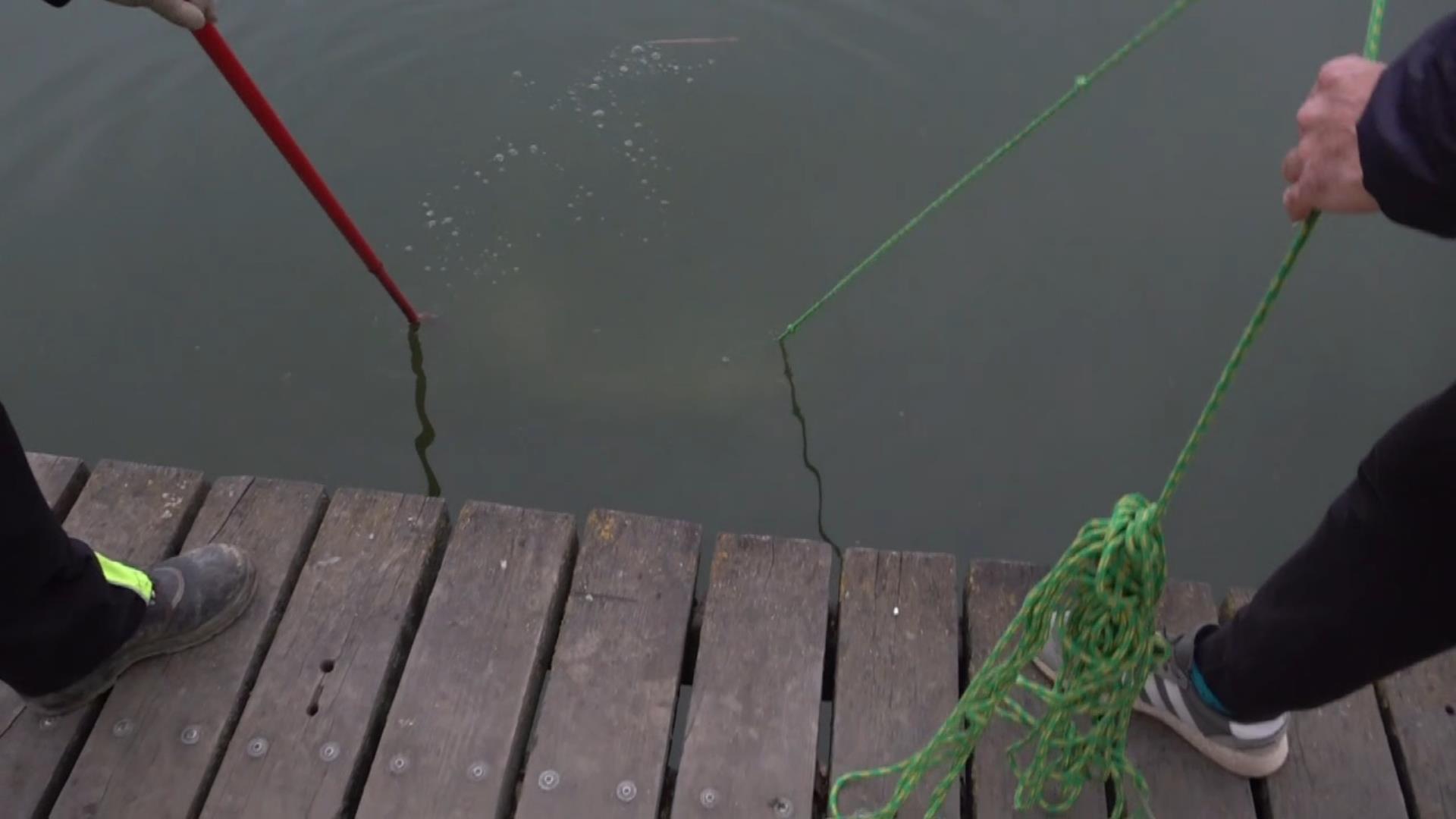 Mágneshorgászok emelték ki az elektromos rollert a szombathelyi tóból