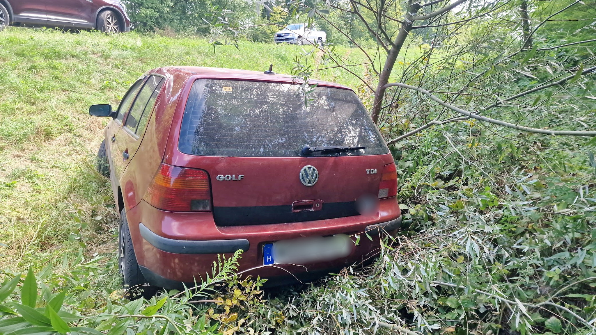 Lesodródott a 86-osról és fát döntött egy Volkswagen Nádasd közelében