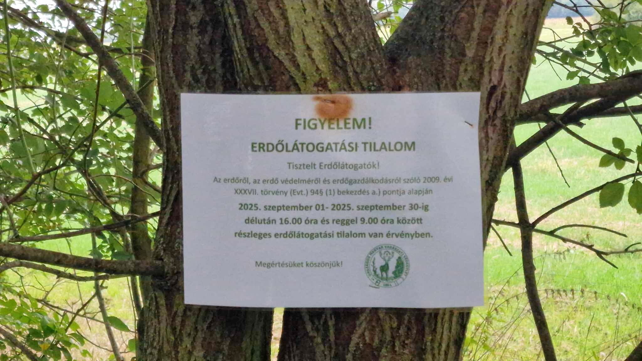 Szarvas miatt eshetett el egy férfi Keeway motorral Szombathely közelében