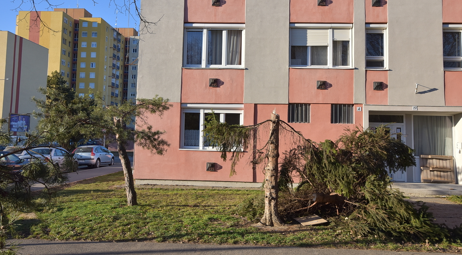 Nagyjából azonos magasságban, pár nap eltéréssel törött el a két fa törzse