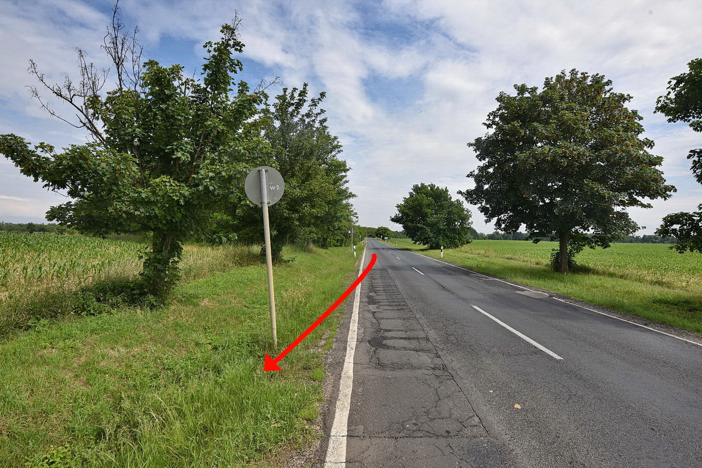 Egyenes szakaszon hajtott le az útról az Opel