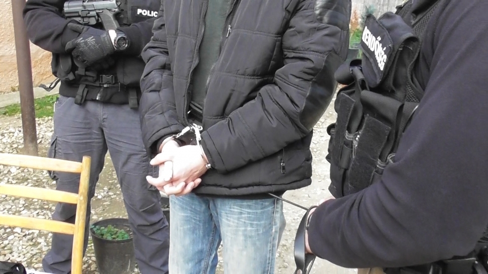 Fokozottan védett hüllőket foglaltak le a nyomozók Vas megyében