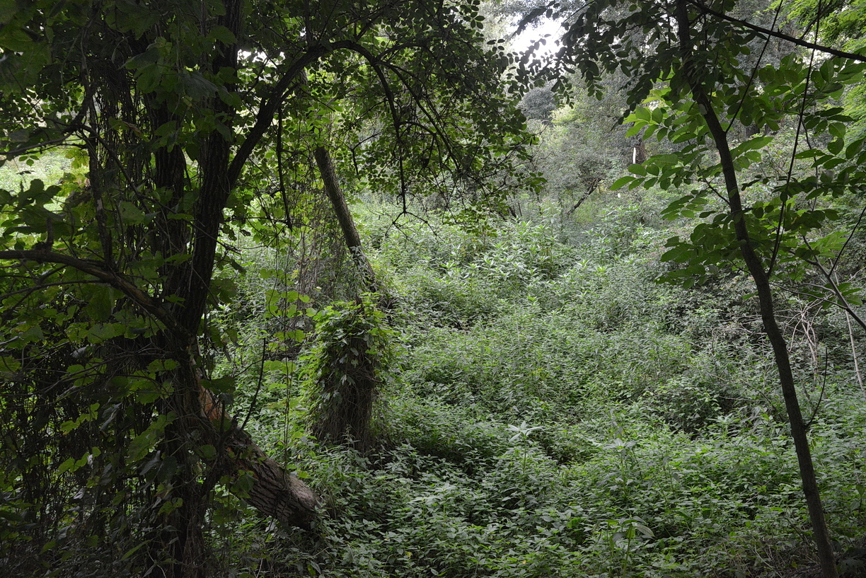 Sem a keresőknek, sem a partra evickélőknek nem volt könnyű dolga