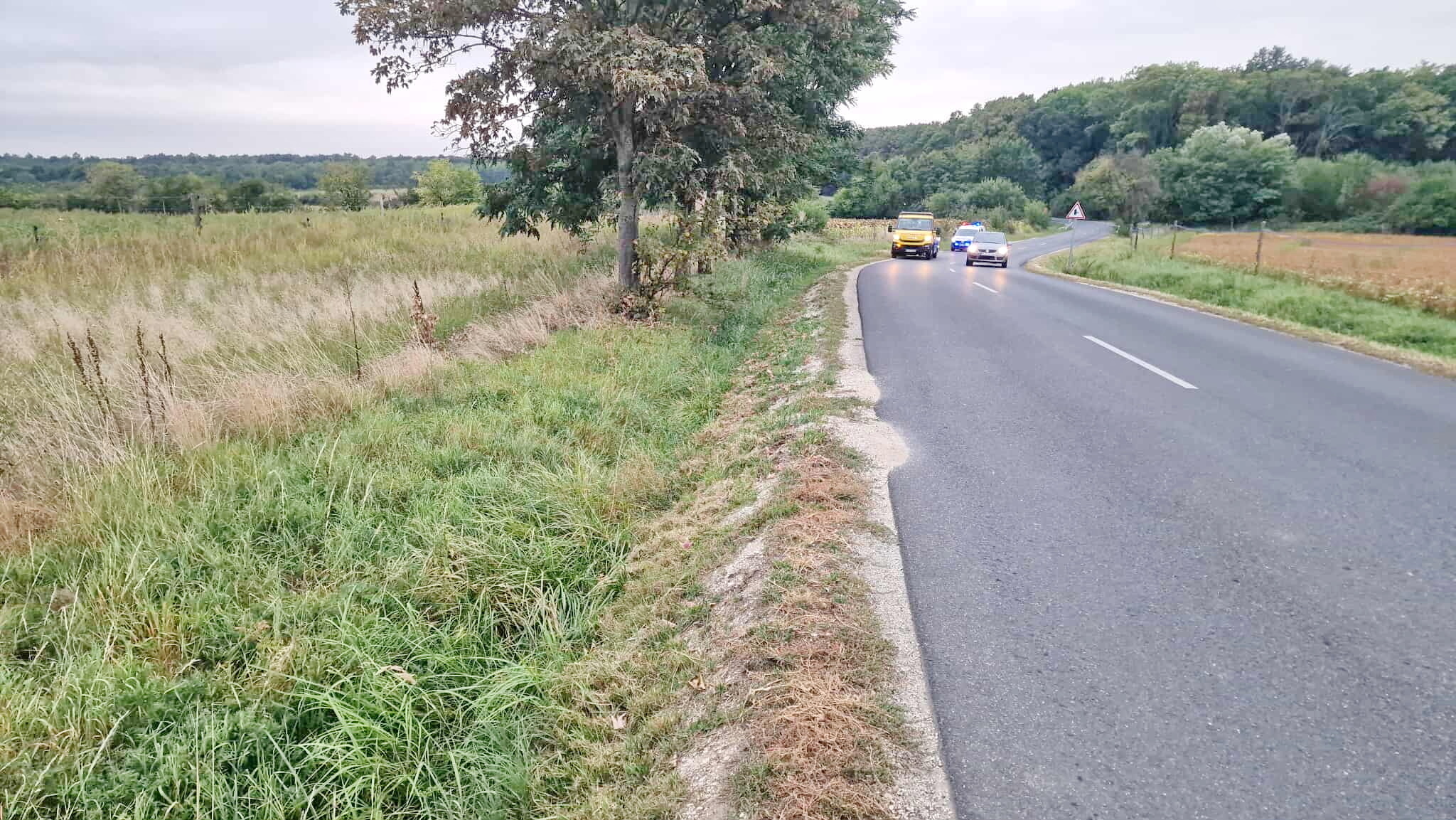 Szarvas miatt eshetett el egy férfi Keeway motorral Szombathely közelében