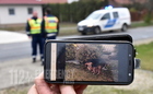 Kutyát ütött el egy Renault Söptén - az eb gazdáját keresi a sofőr