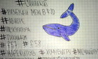 A "Kék bálna" öngyilkosságokról szóló hírek apropóján szólal meg a rendőrség